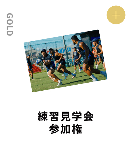 GOLD 練習見学会参加権