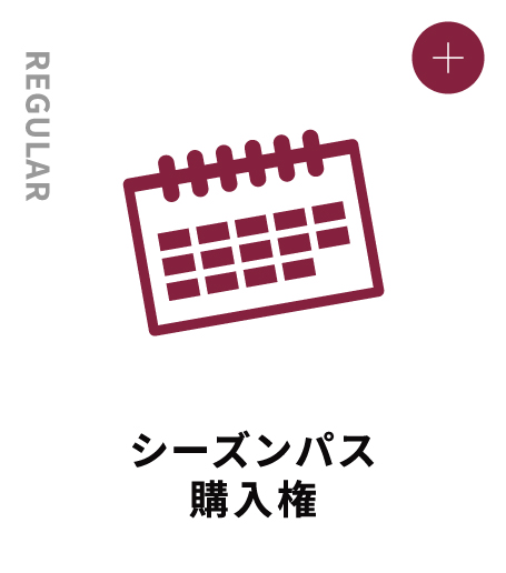 REGULAR シーズンパス購入権