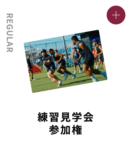 REGULAR 練習見学会参加権